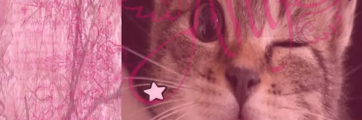 Elena❤️'s banner