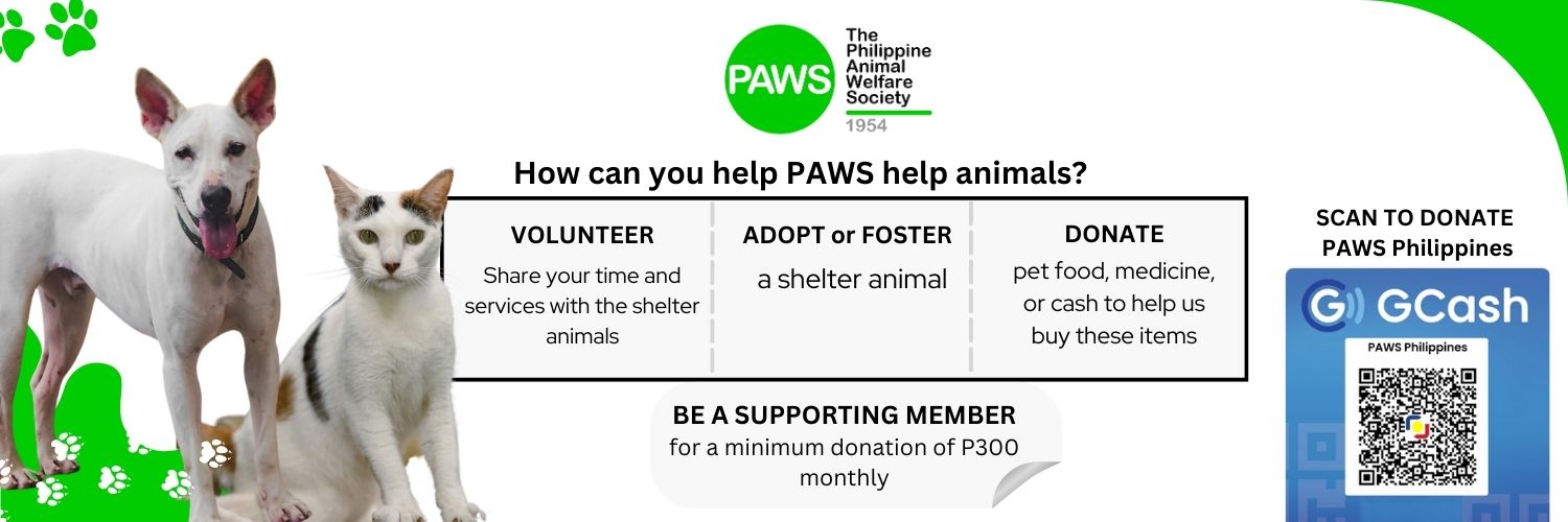 PAWS Philippines's banner
