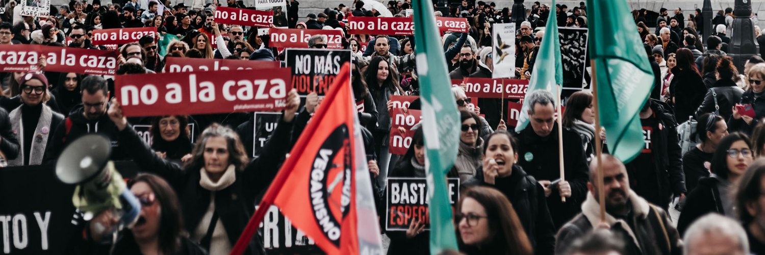 Plataforma NAC #NoALaCaza's banner