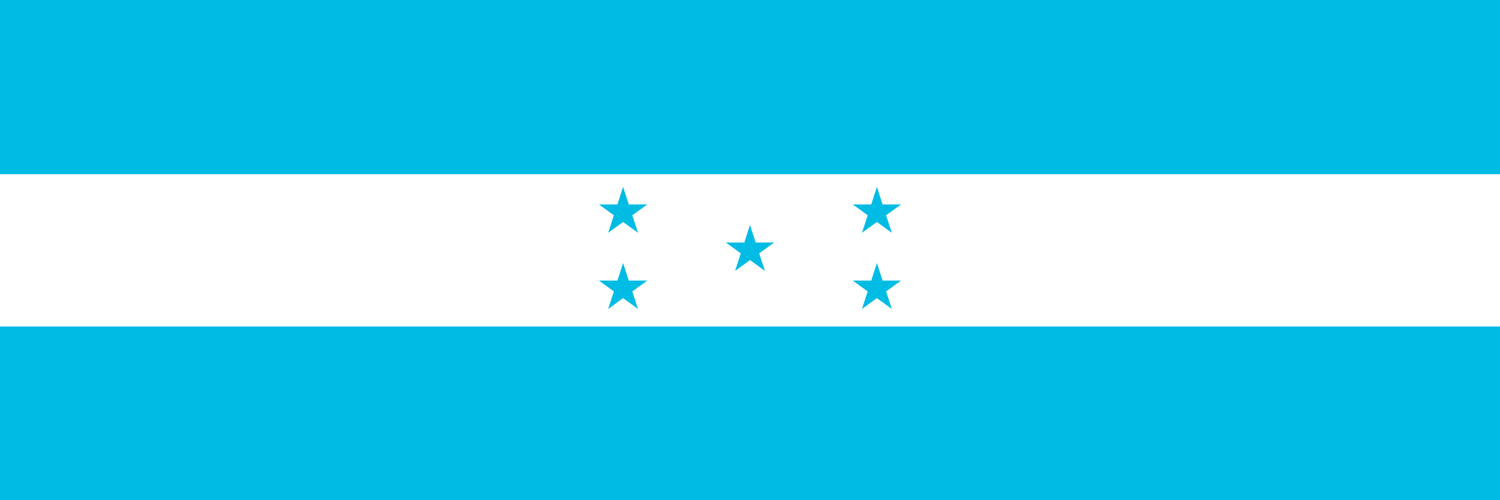 Luis M. Valle's banner
