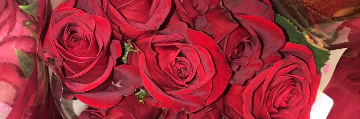 Baby D’🍃🌹's banner