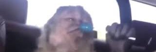 gerente do techno's banner