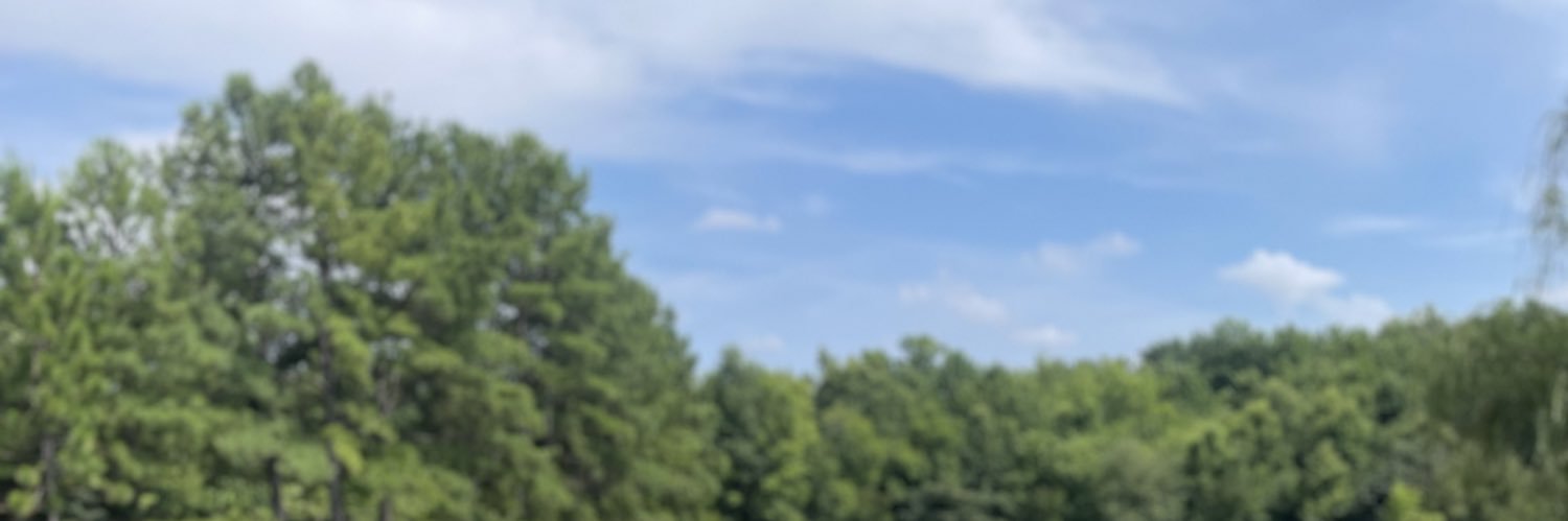 Daniela Testa's banner