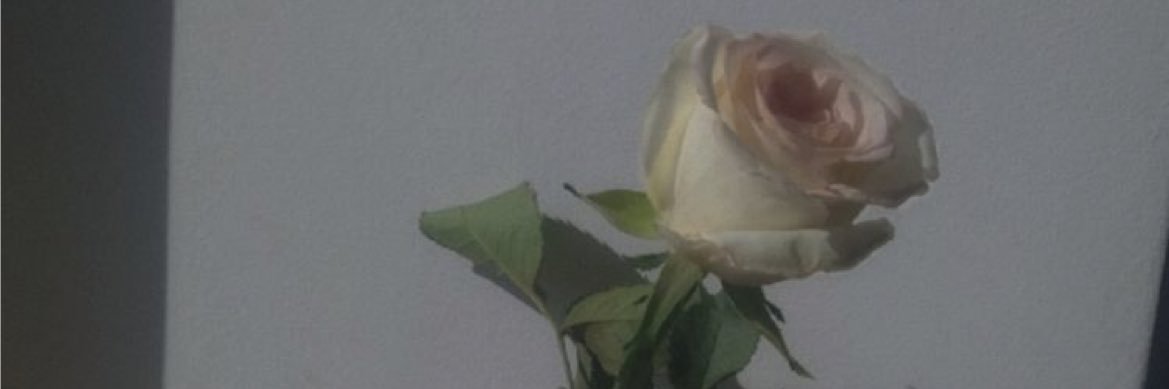 𝐍 𝐚 𝐨 .'s banner