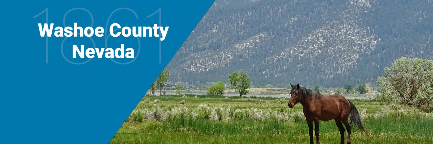 Washoe County's banner