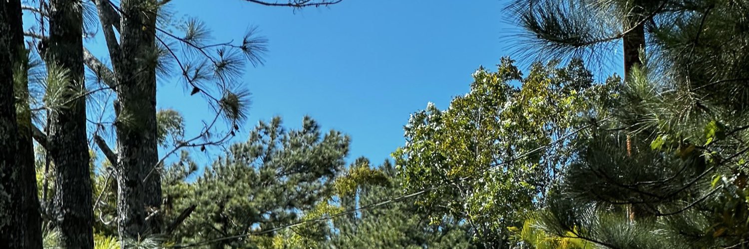 e^(iπ) = Cerati  - 🦅's banner