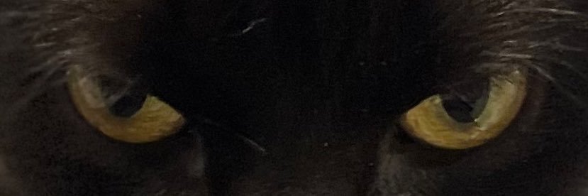 cicinhe's banner