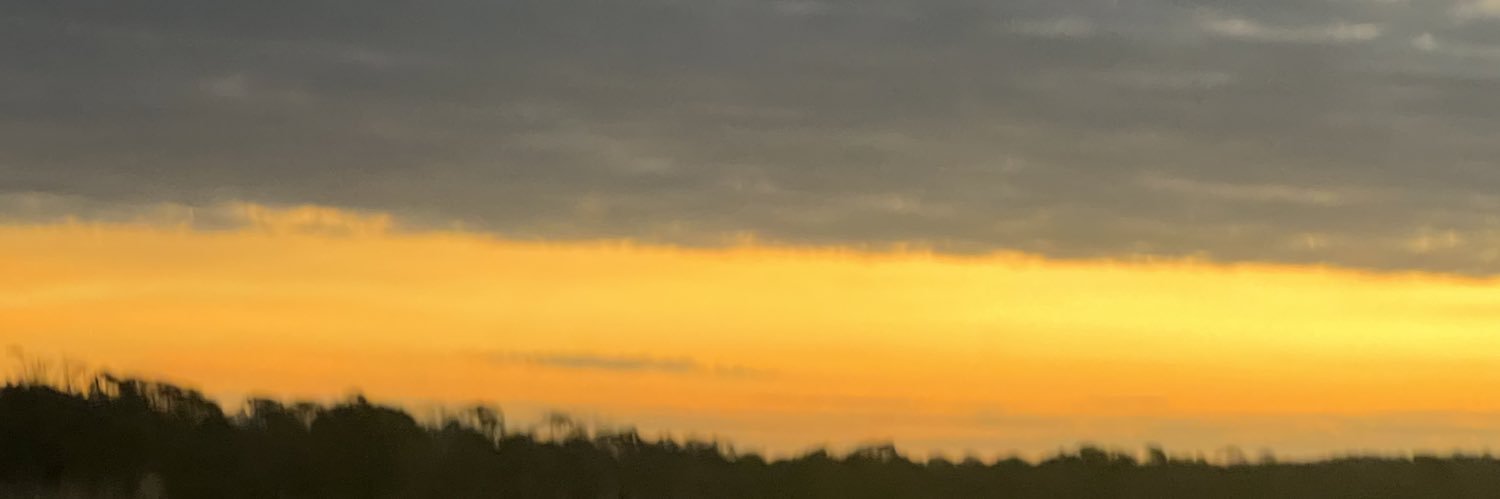 Malu Gaspar's banner
