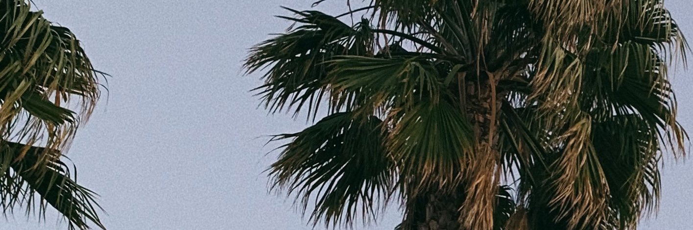 king kaelin's banner