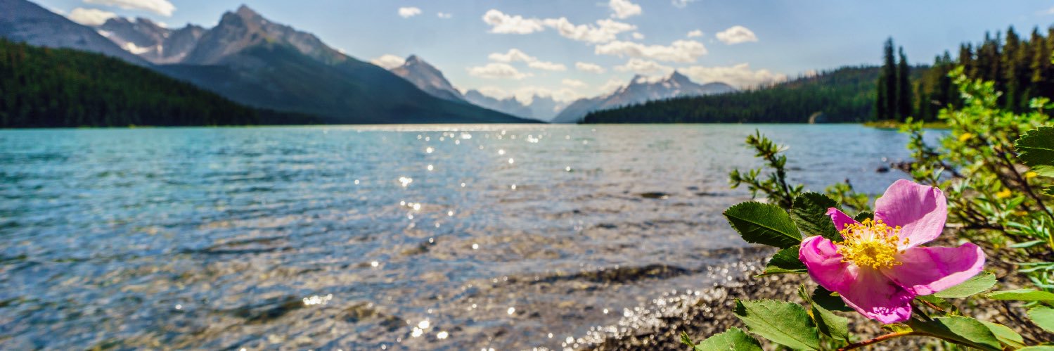 Alberta Government's banner