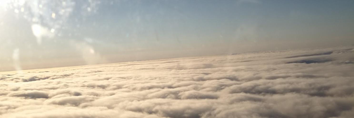 Tatiana Escárraga's banner