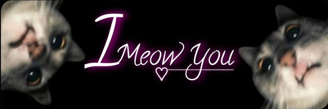 Meg ✦'s banner