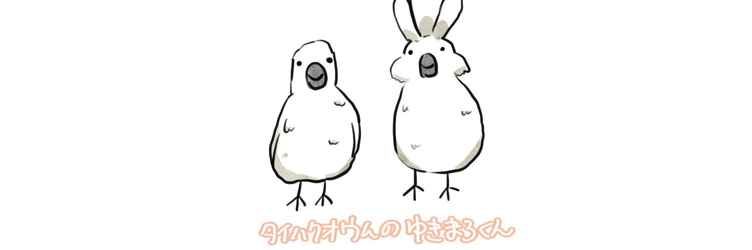 タイハクオウムのゆきまる's banner