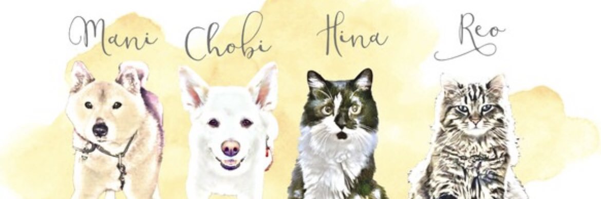 チョビ🐶ひな🐈‍⬛レオ🐈‍⬛'s banner