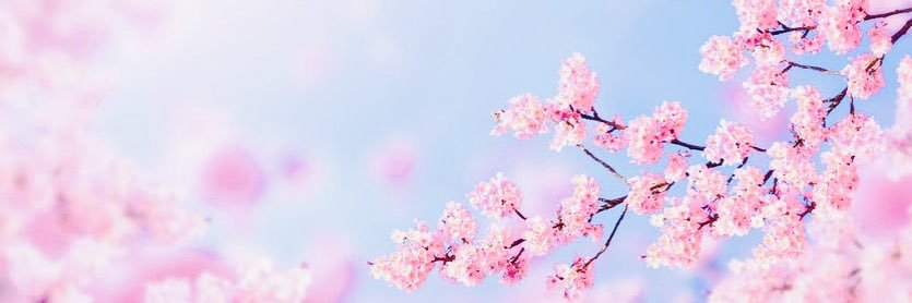 roosa ⋆˙ ࣪ ʚ♡ɞ's banner