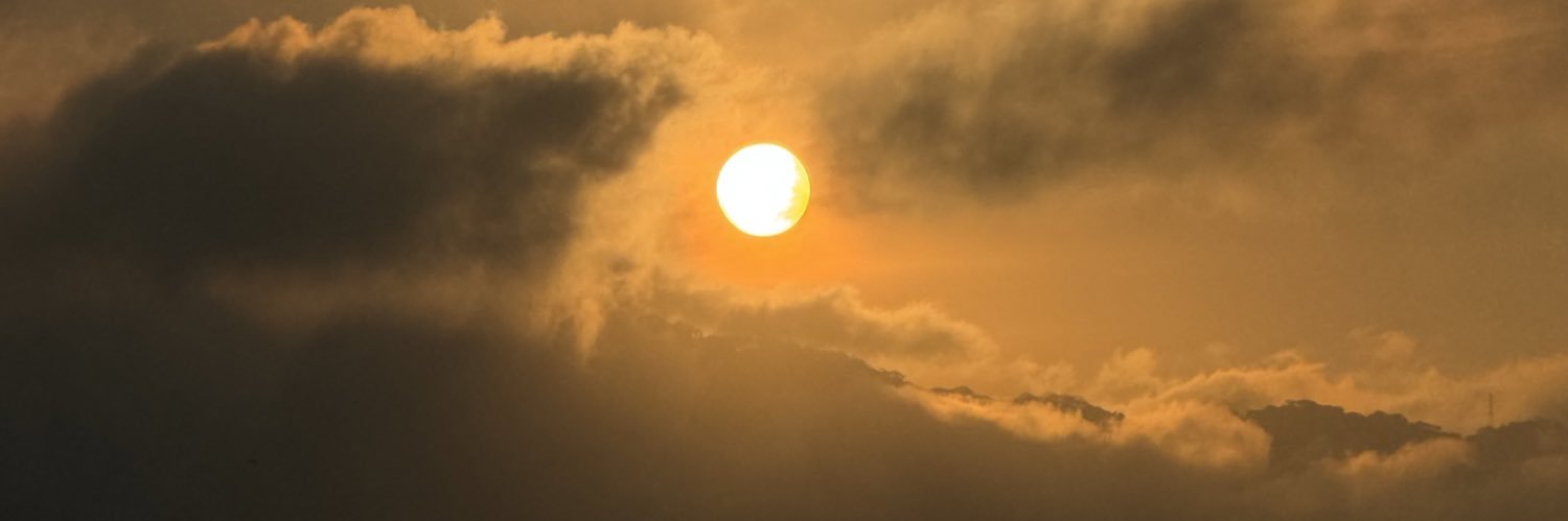 Rodri's banner