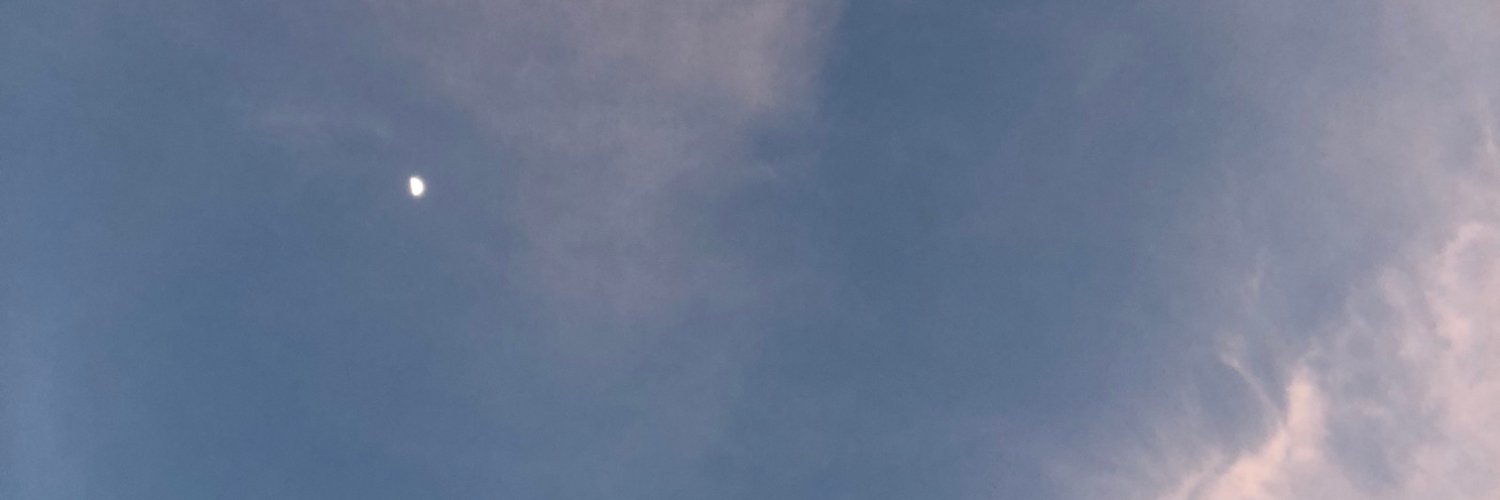 rocky's banner