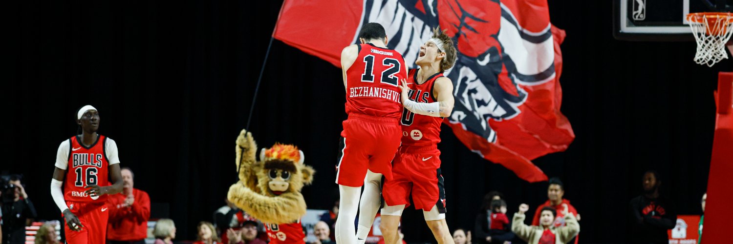 Windy City Bulls's banner
