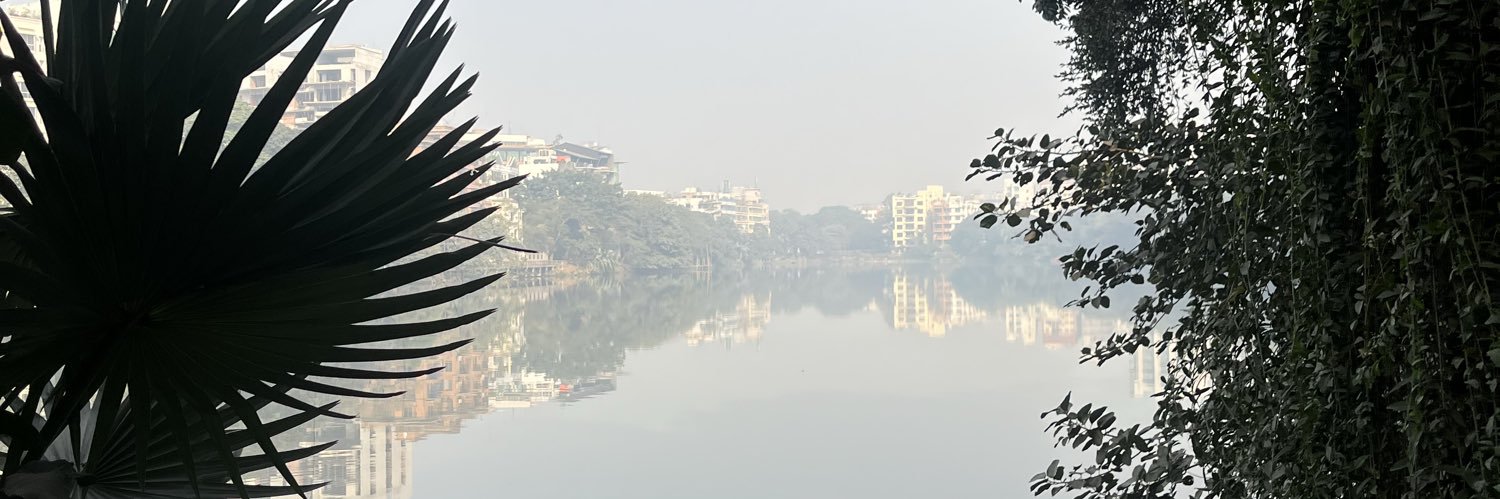 Naomi Hossain's banner