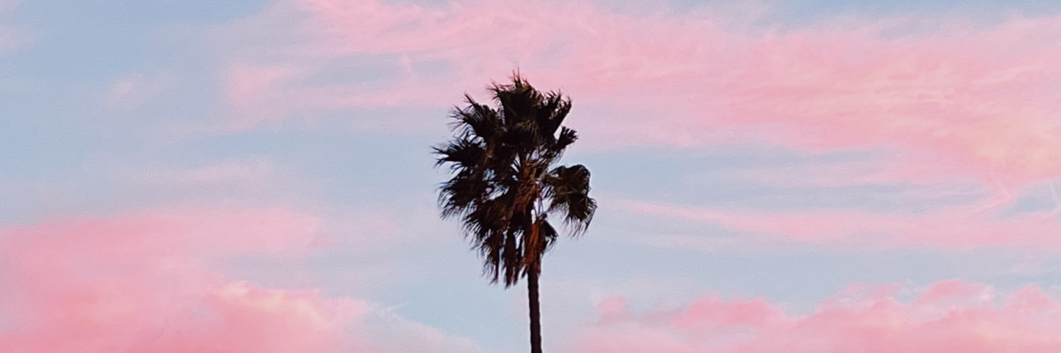 Oreo (I do camera things)'s banner