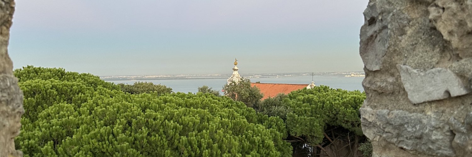 Catalin's banner
