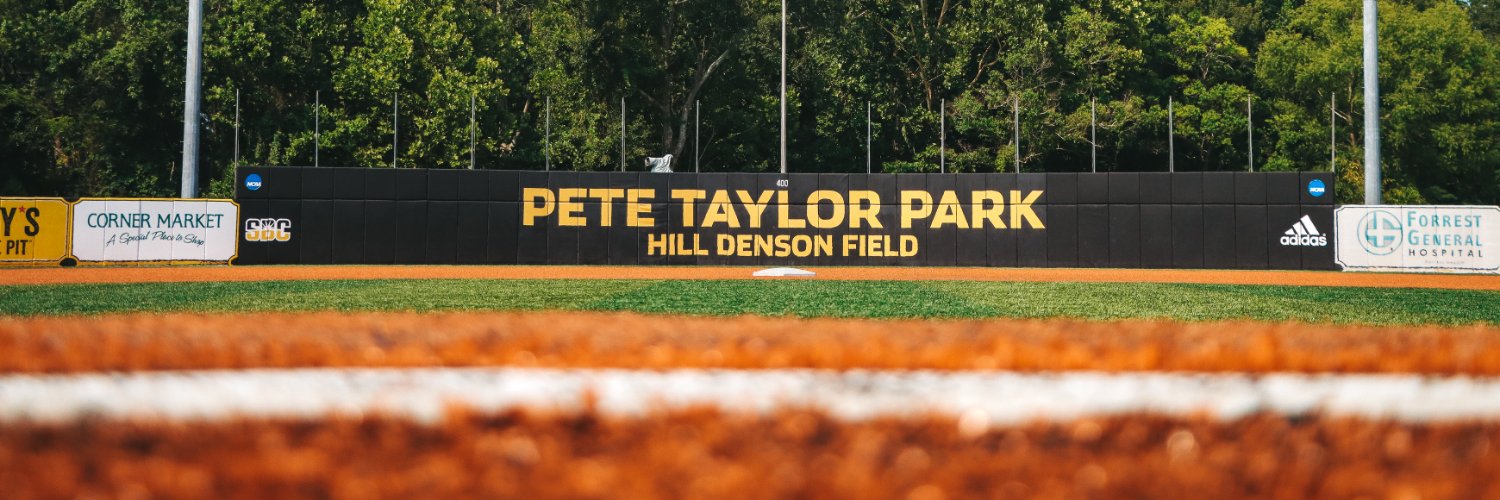 Southern Miss Baseball's banner