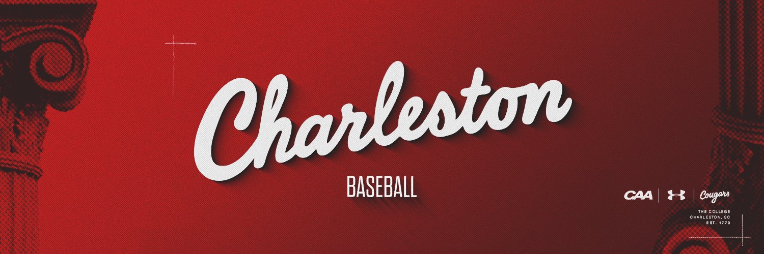Charleston Baseball's banner