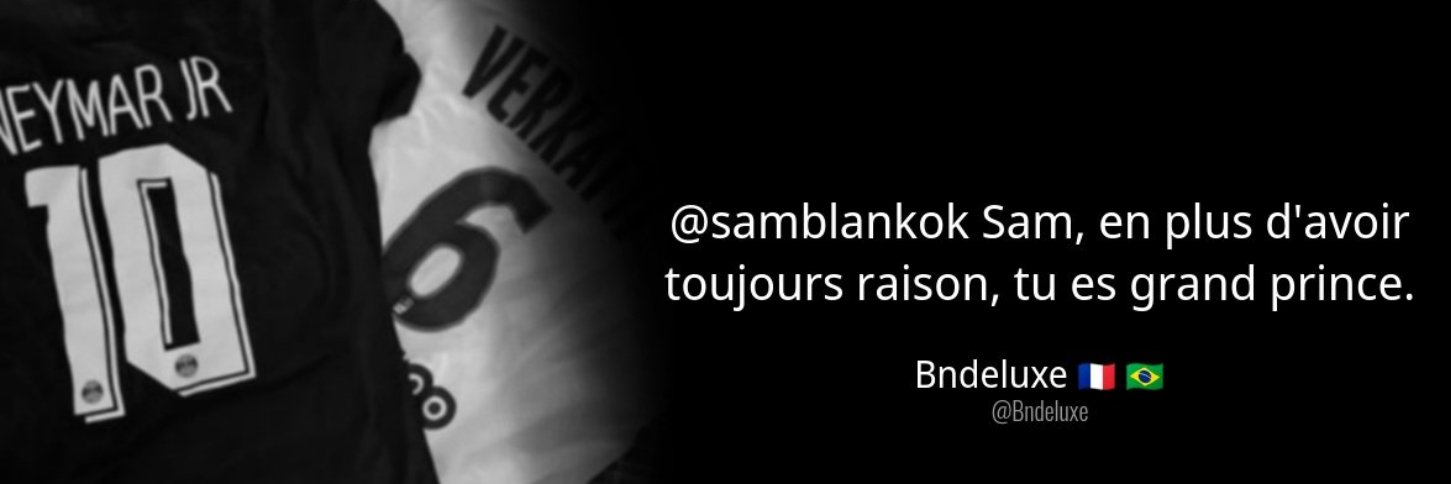 Lord Empereur Sam L'Infame 🇶🇦's banner