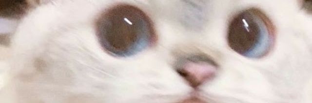 Jąĥịr's banner
