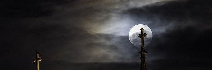 vne's banner