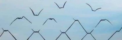 Haytham Abokhalil هيثم أبوخليل's banner