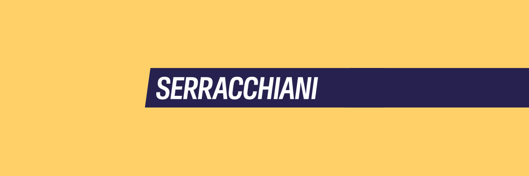 Debora Serracchiani's banner