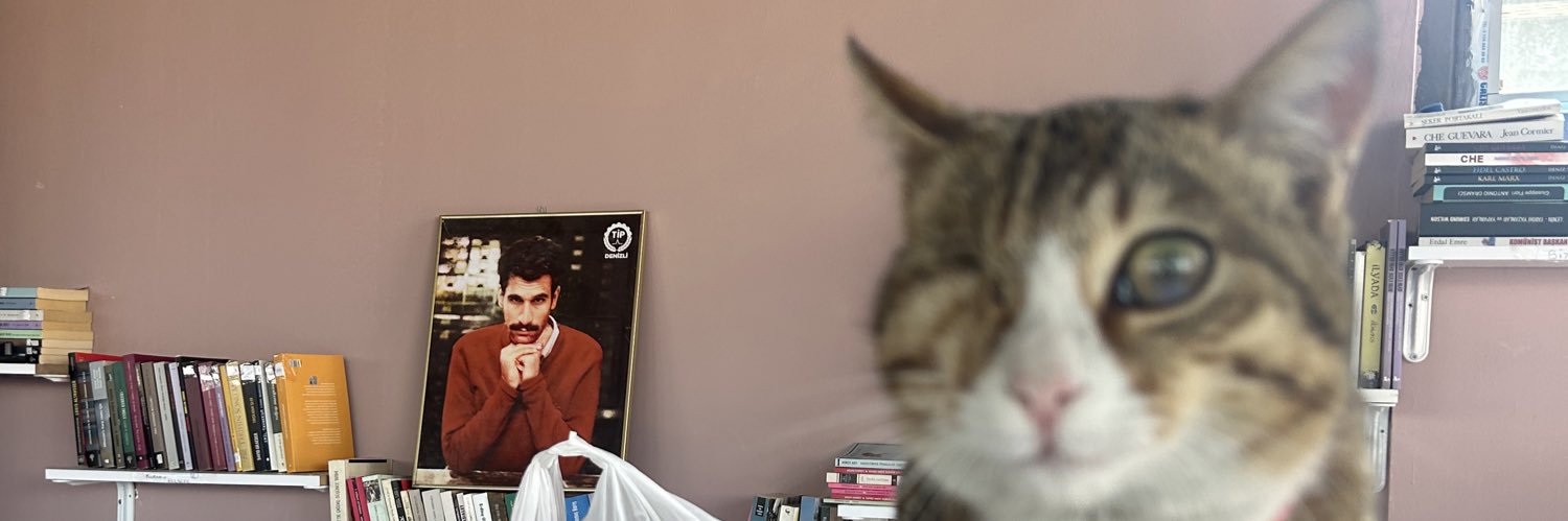 Yağmur Yalçın's banner