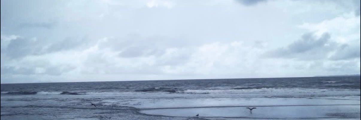 Grace Van Dien's banner