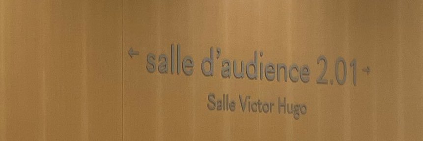 Laurent Valdiguié's banner