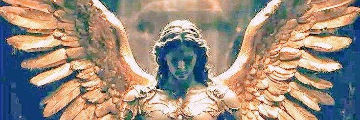 Virgínia🇧🇷🇺🇸's banner