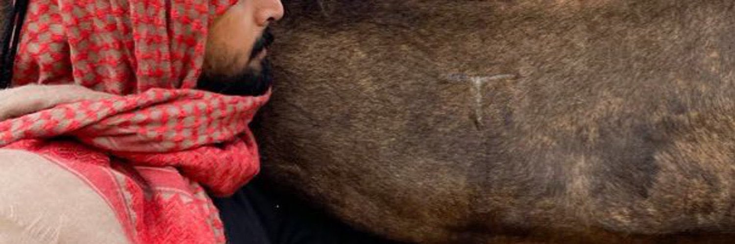 محمّد بن راشد's banner