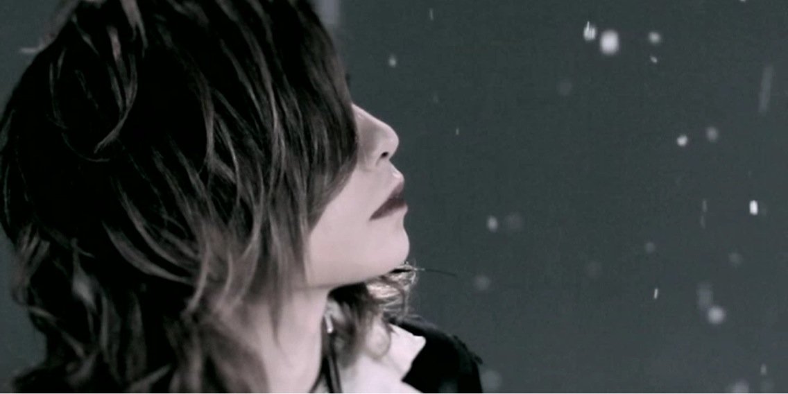 瑠伊 vistlip's banner