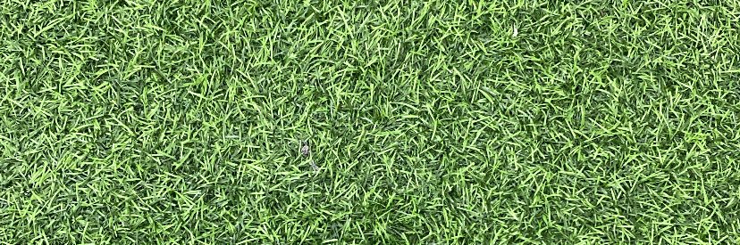 H 🍃🌱🍀's banner