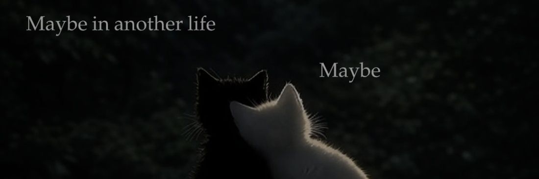 Proka's banner