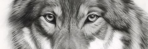 𝓐𝓼𝓲𝓵 🇹🇷͜͡✯'s banner
