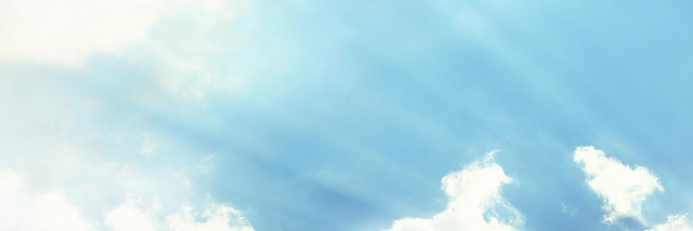 Yvonne Schalle's banner