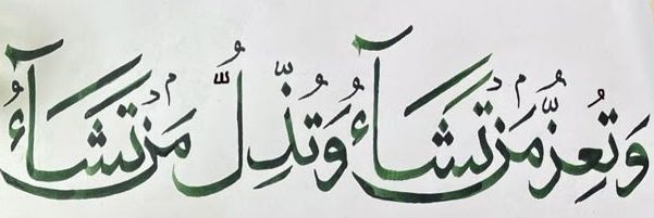 Aniqa Nisar's banner