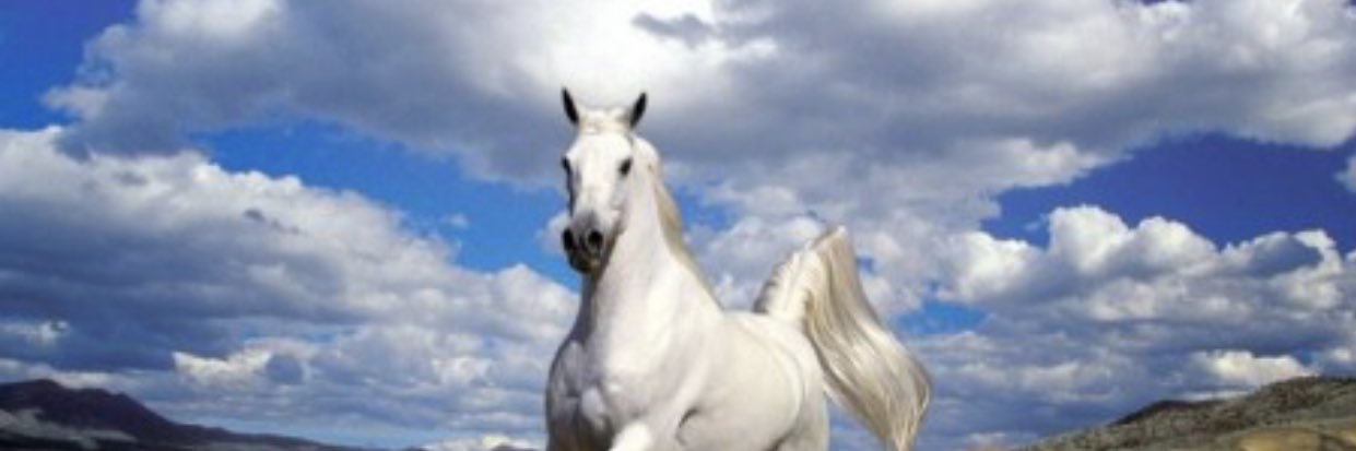 الشاعره الجفـــول's banner