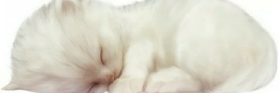 Gigi's banner