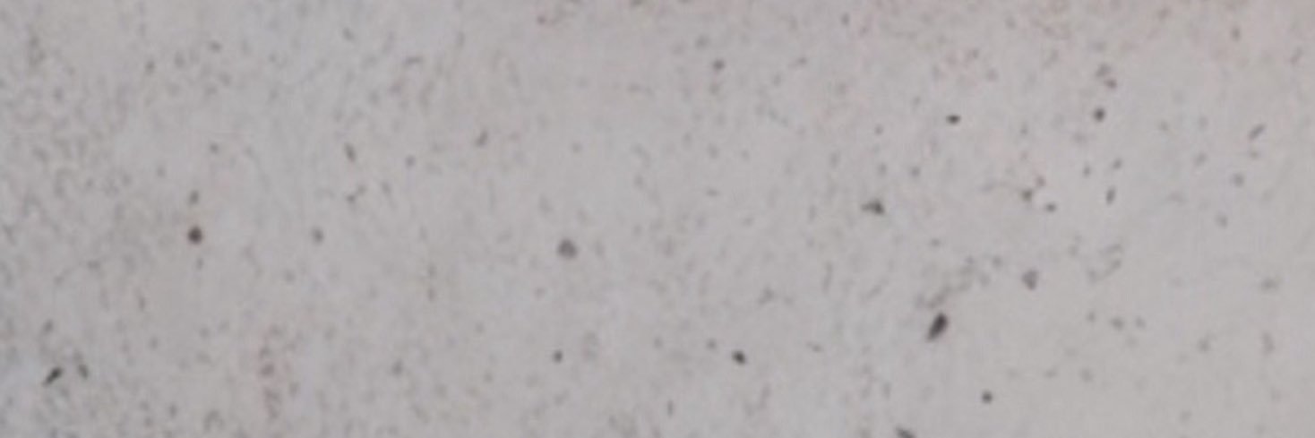 Antía's banner