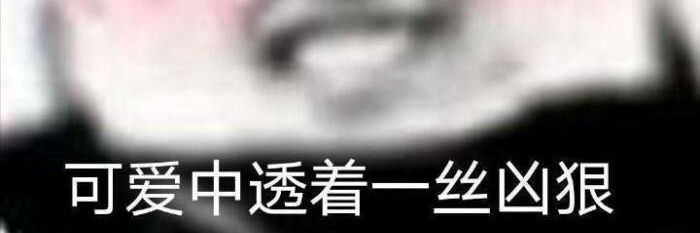 H chan's banner