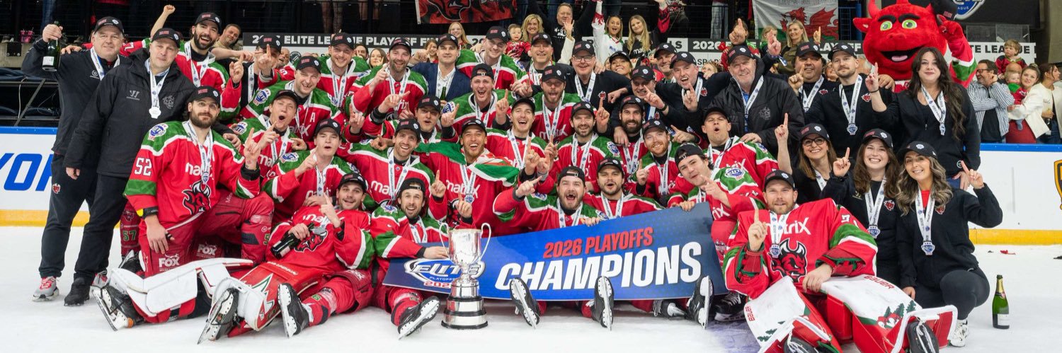 Cardiff Devils's banner
