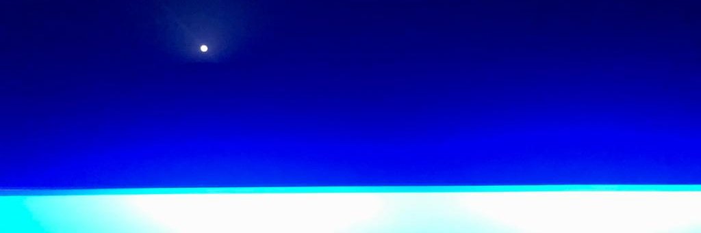 Audrey Crespo-Mara's banner