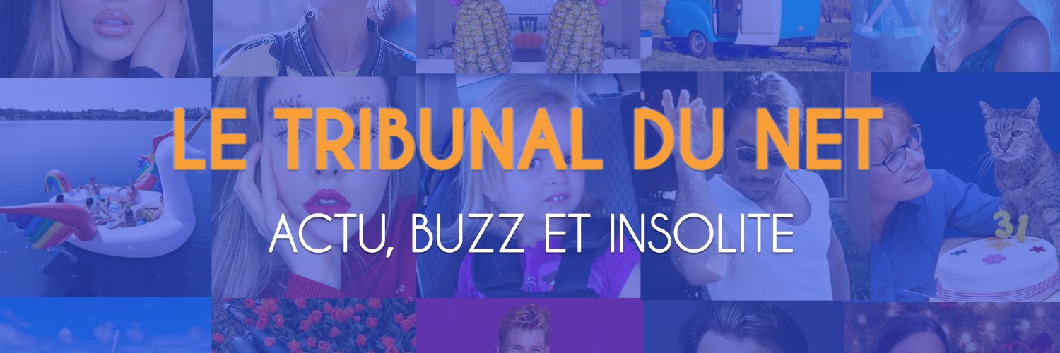 Tribunal du net's banner